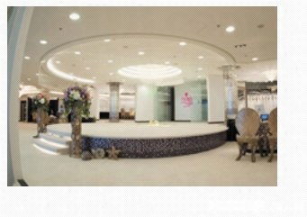 芝柏一站式服務 婚紗攝影、新娘化妝與禮服租賃，記錄您的完美瞬間